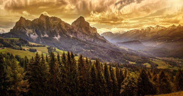Mountain landscape with pine forest and dramatic sky