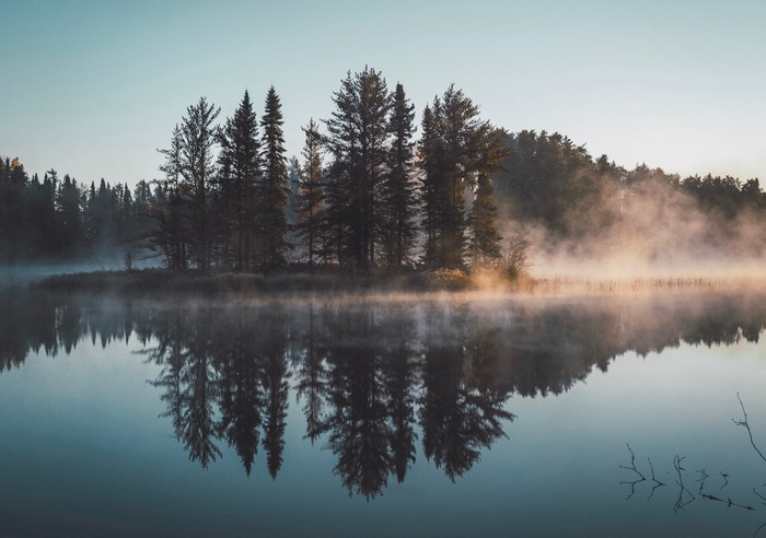 Misty forest reflected in a calm lake at sunrise