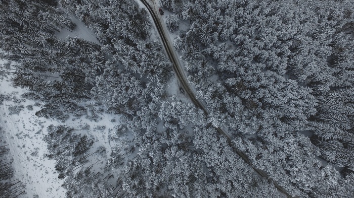 Aerial view of a snow-covered forest with a road in Obsteig, Austria