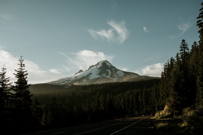Snow-capped mountain and forest road at sunrise