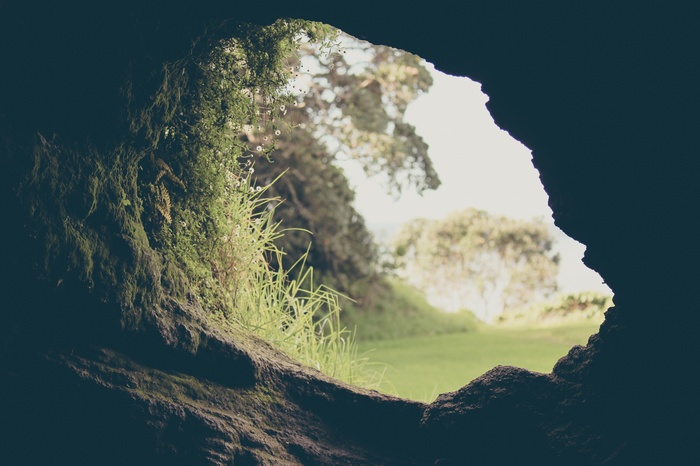 View from a cave entrance to a green landscape