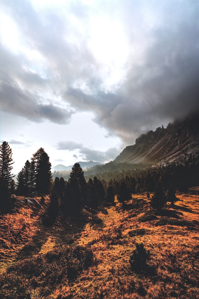 Mountain landscape with pine trees and dramatic clouds