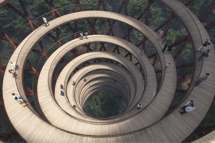 Spiral wooden walkway through a forest canopy