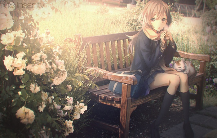 Anime girl with cat on a bench