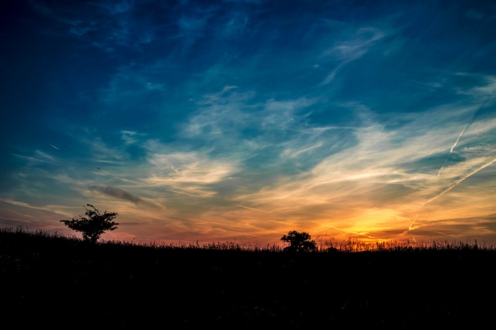 Silhouette of trees against a sunset sky