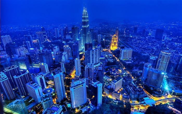 Petronas Towers and Kuala Lumpur cityscape at night
