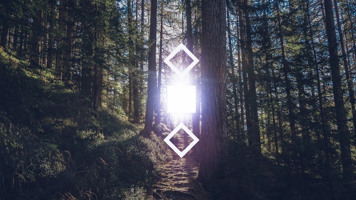 Geometric shapes in a sunlit forest