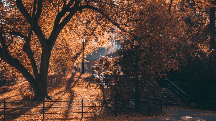 Central Park in Fall with Street Lights and Stairs