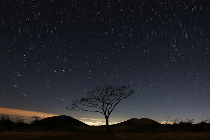 Star trails over a silhouetted tree and hills at night