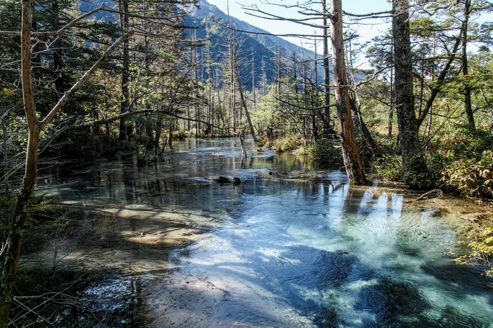 Clear stream flowing through a forest with mountains in the background