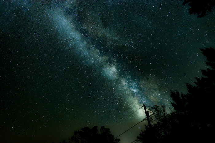 Milky Way galaxy over silhouetted trees and power lines