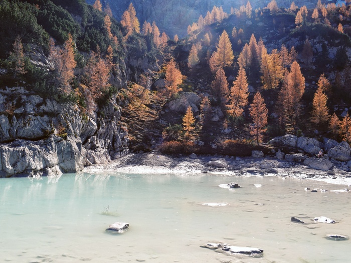 Autumn trees by a mountain lake