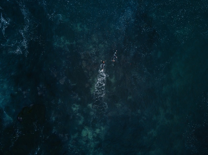Two people swimming in the ocean