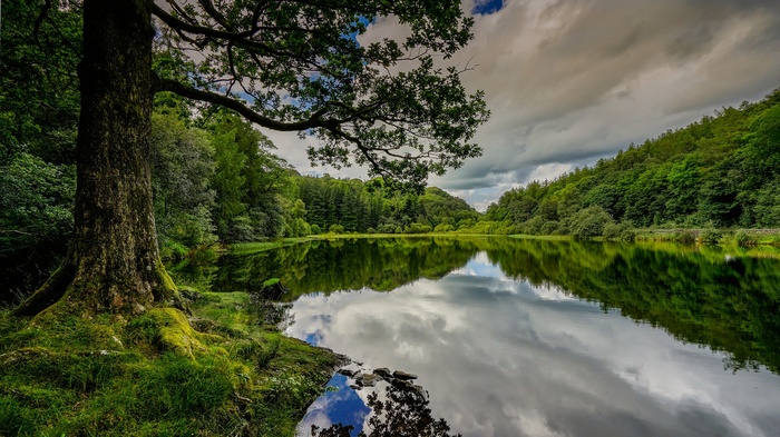 Lake and forest landscape in England