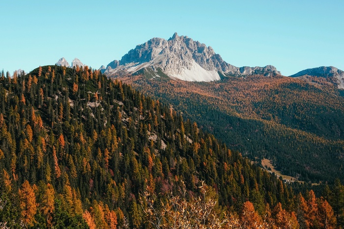 Autumn forest on a mountainside with a rocky peak
