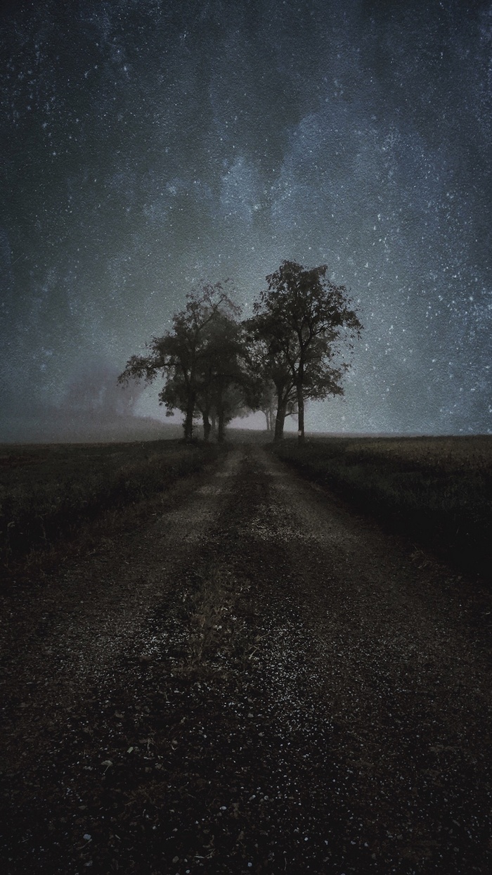 Trees on a dirt road under a starry sky