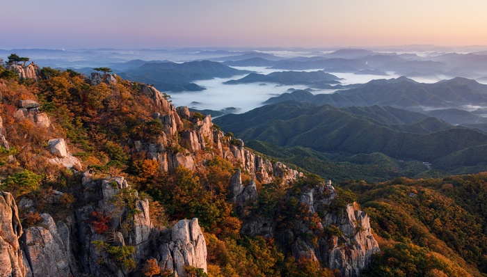 Mountain landscape with fog and autumn foliage