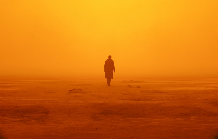 Officer K from Blade Runner 2049
