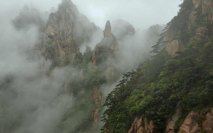 Misty mountains with pine trees and rocky peaks