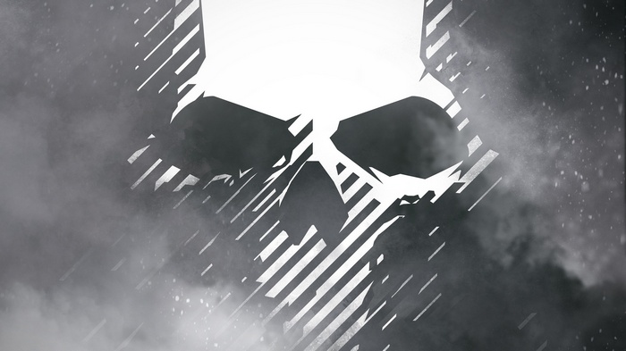 Tom Clancy's Ghost Recon Wildlands Skull