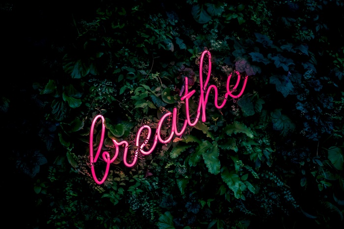 Pink neon sign 'breathe' on a dark green leafy background