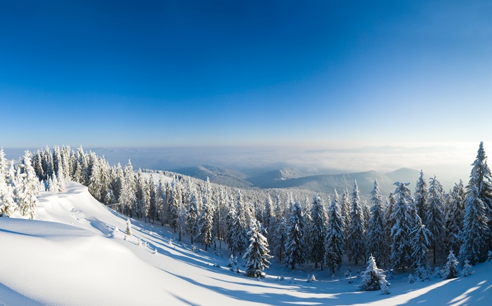 Snow-covered forest landscape with mountains under a clear blue sky