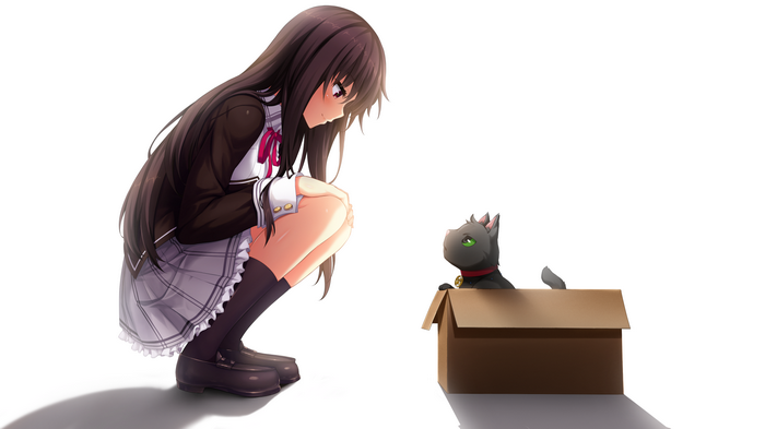 Nora Handa from Nora to Oujo to Noraneko Heart with a cat