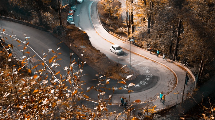 Winding road in Bergen with autumn leaves