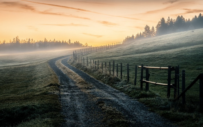 Dirt road through misty landscape at sunrise with fence