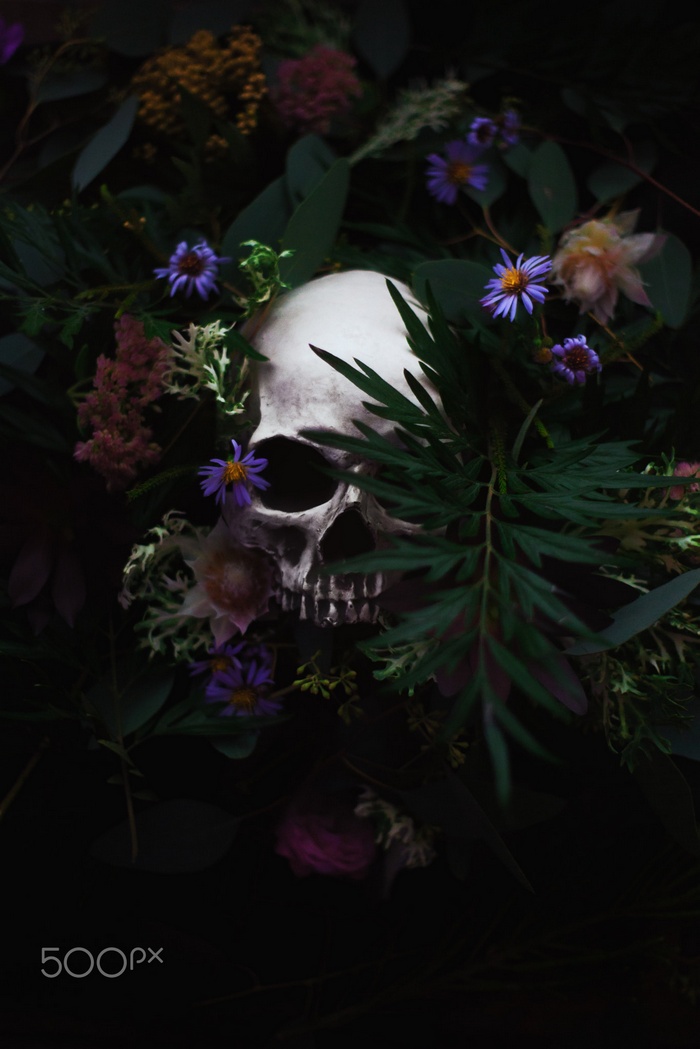 Skull surrounded by dark flowers and foliage
