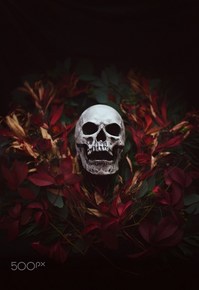 Skull surrounded by red and green foliage