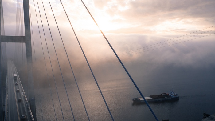 Cargo ship sailing under a foggy suspension bridge