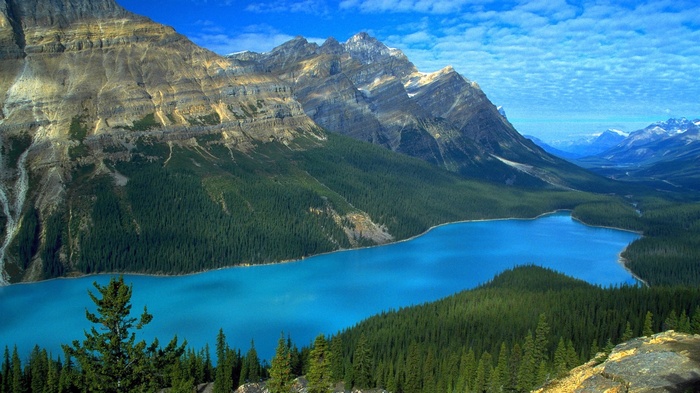 Turquoise lake and mountains with pine forest