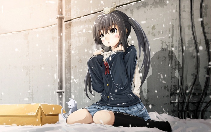 Anime girl in school uniform with cats in winter