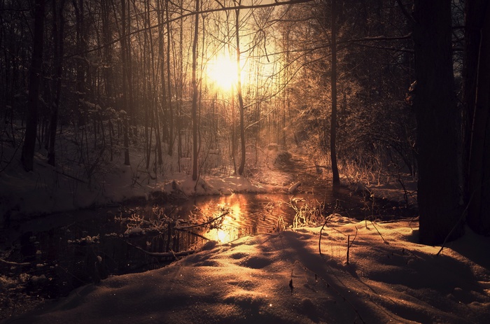 Sunlight filtering through trees in a snowy forest with a stream