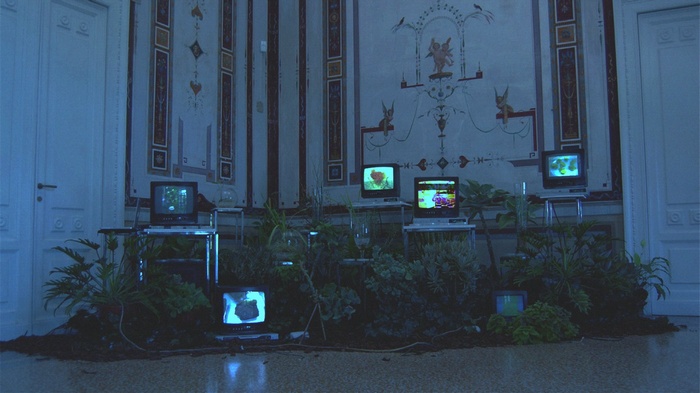 Art installation with multiple TVs and plants