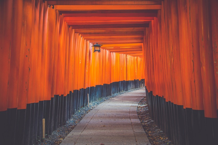 Orange Torii Gates Pathway in Japan