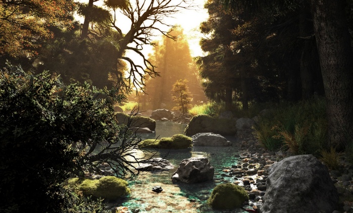 Sunlight filtering through trees onto a forest stream