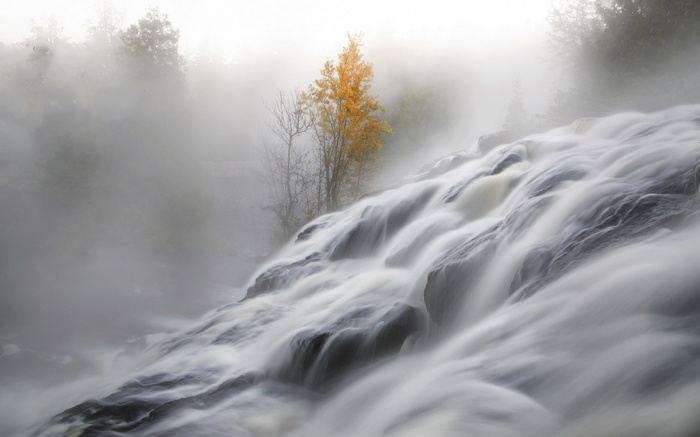 Waterfall in mist with autumn tree