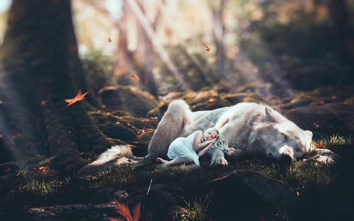 Girl sleeping with a white wolf in a forest