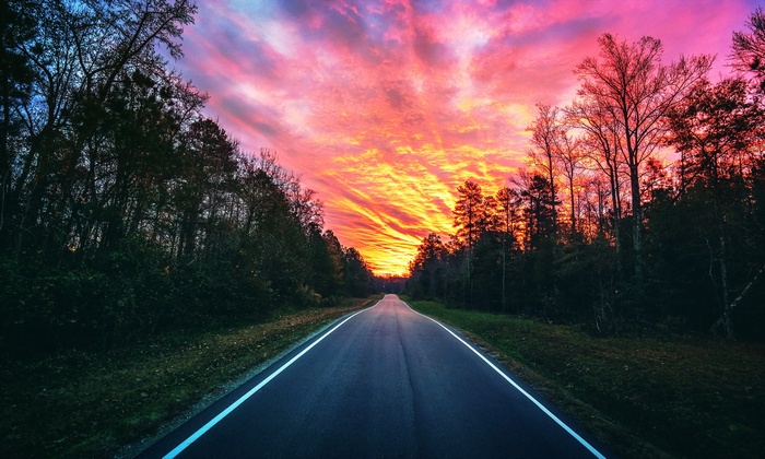 Road through forest at sunset
