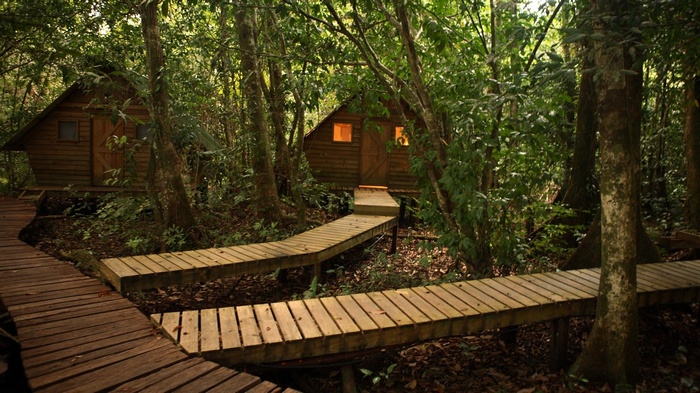 Wooden cabins in a dense jungle with boardwalks
