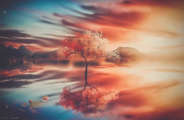 Fantasy tree reflection in water at sunset
