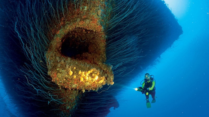 Bikini Atoll, coral, shipwreck, divers, torchlight, lights, women, Marshall Islands, nature, underwater, water, sea, goggles, blue