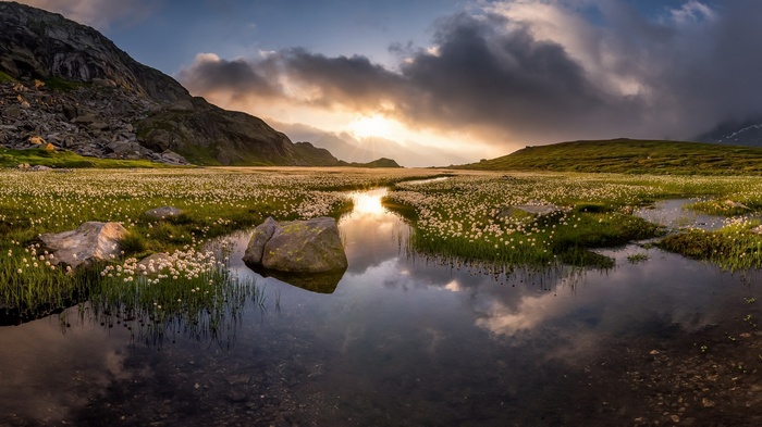 Mountain lake with cotton grass and reflection