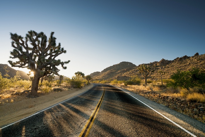 Desert road with Joshua trees and mountains