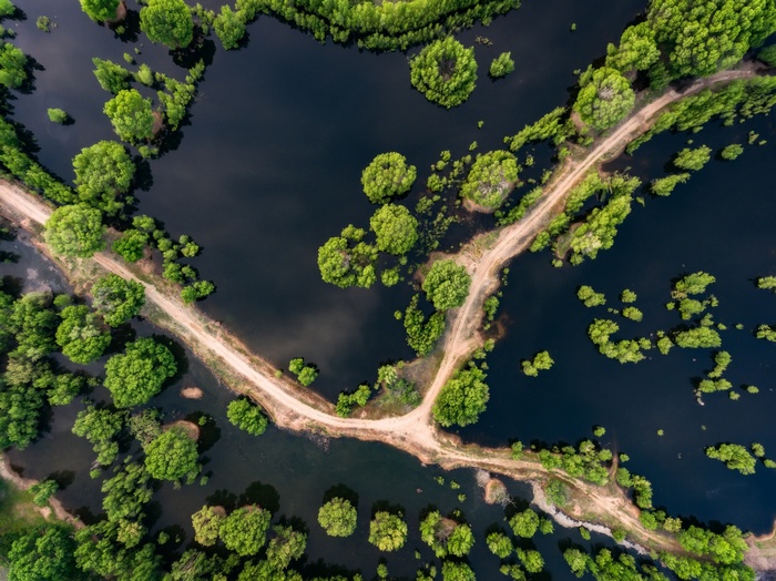 Aerial view of a flooded landscape with trees and a dirt road