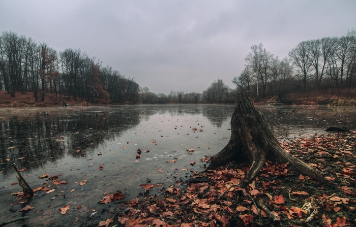 A frozen lake in a forest during autumn