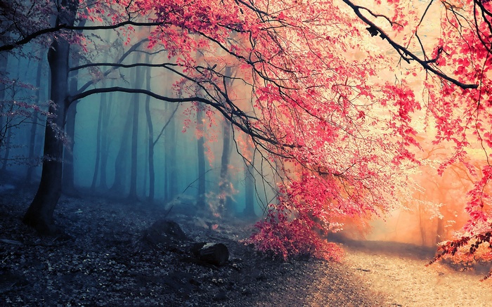 Misty forest with pink foliage