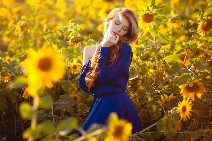 Woman in blue dress in sunflower field
